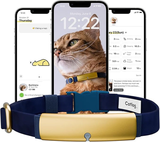 Health Tracker for Cats - Smart Cat Collar with Safety Breakaway Buckle for Indoor Cats, Wellness Alerts, Real-time Monitoring (Navy, XS)