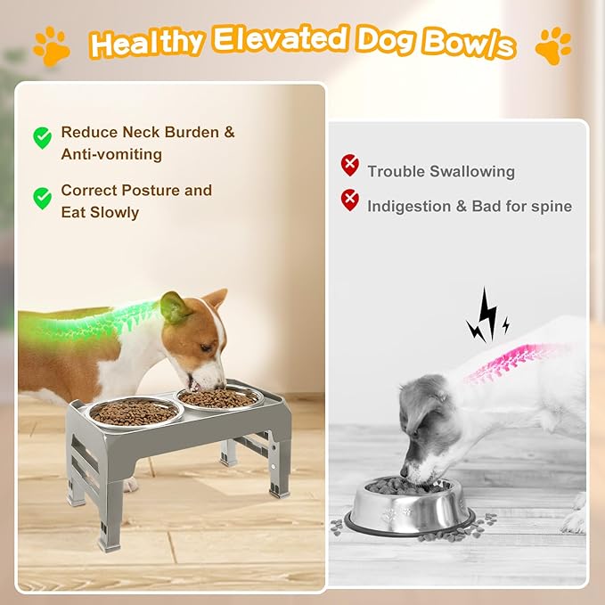 Elevated Bowls for Small Dogs - 3 Height Adjustable Raised Stand With 25oz Stainless Steel Food Bowls, Anti-Slip Feeder Adjusts to 7.5", 6", 2.75", Light Brownish Gray