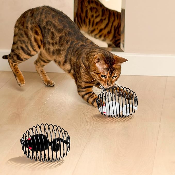 Jecery 5 Pcs Halloween Cat Spring Balls Toys Stretchable Rolling Balls Colorful Playful Coils Interactive Spring Action Toy Caged Rats for Kitten Cat Pet Supplies(Mouse,Black,5 Pcs)