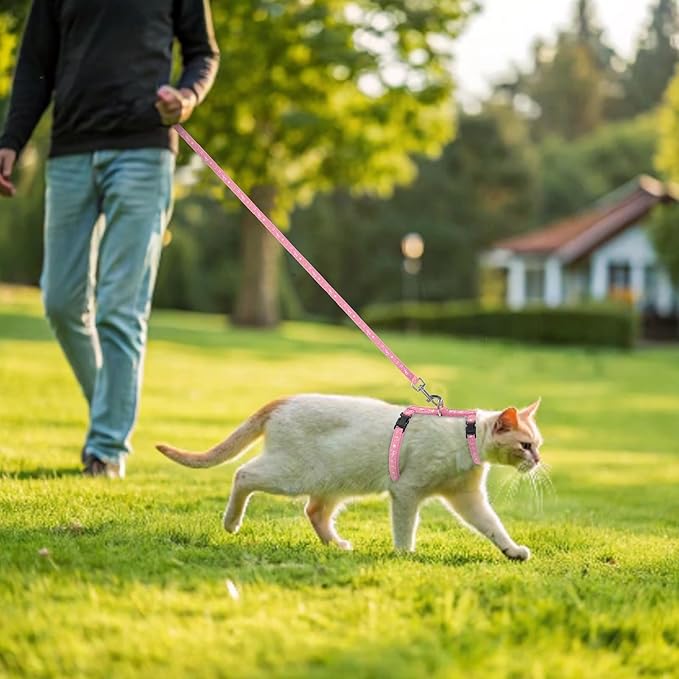 PAWCHIE Cat Harness with Leash and Collar Set - Escape Proof Adjustable H-shped Cat Harness with Star and Moon Pattern Glow in The Dark for Kitty Outdoor Walking