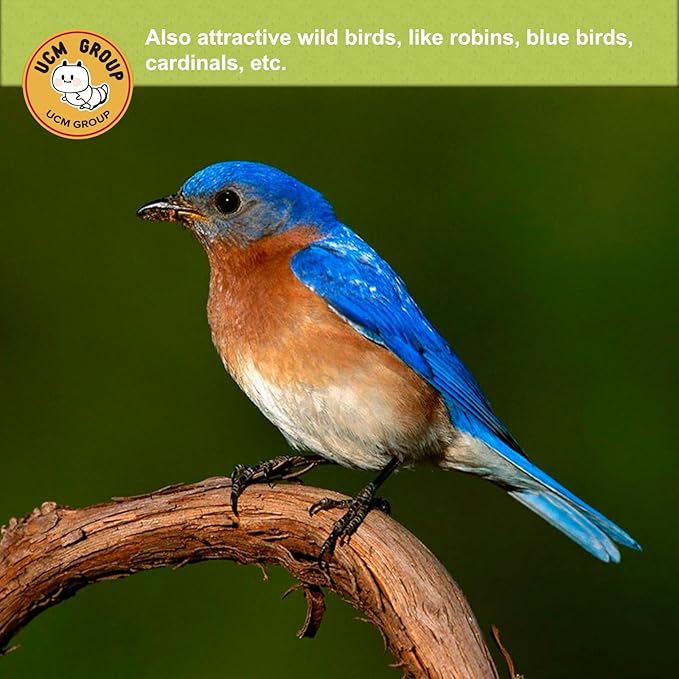 UCM Group 5LB Dried Black Soldier Fly Larvae for Chicken, Poultry, Wild Birds,No Additives, 100% Natural Non-GMO, More Calcium Chicken Treats Than Mealworms