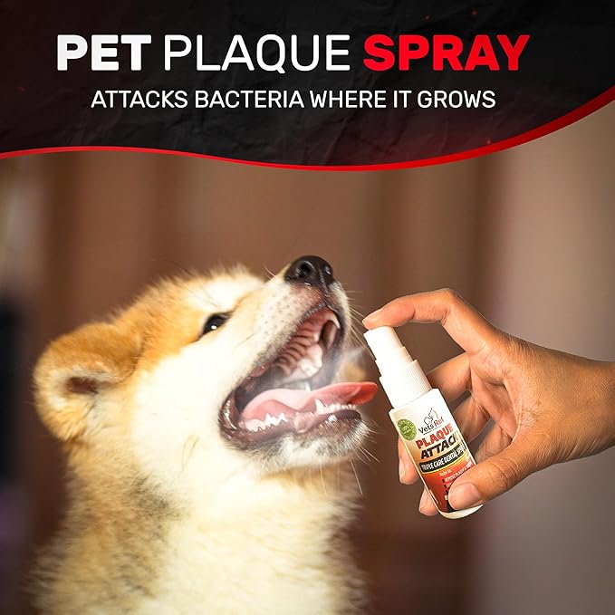 Pet Dental Spray, As Seen on TV, Eliminates Plaque & Tartar, Helps with Plaque and Tartar and Provides Instant Fresh Breath - Includes 3 Months' Supply of Peppermint Spray, 1fl. OZ (30ML)