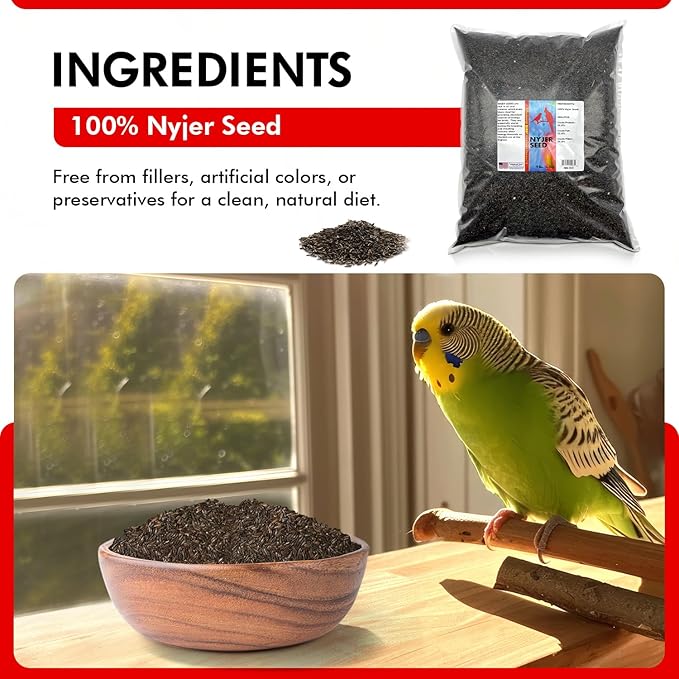 Morning Bird Nyjer Seed for Birds 9 lbs – Energizing Nutrition with Rich in Vitamins and Supplements – Ideal Bird Food for Breeding & Molting – Nyjer & Finch Seed for All Birds