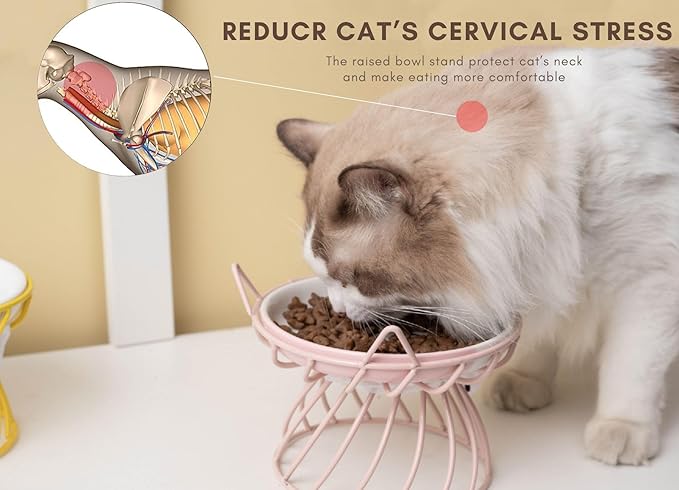 2PCS Ceramic Shallow Cat Food Dishes with Non-Slip Mat, Elevated Cat Food Bowl with Raised Metal Stand, Small Dog Bowl, Whisker Fatigue Pet Food Plate, Dishwasher Safe