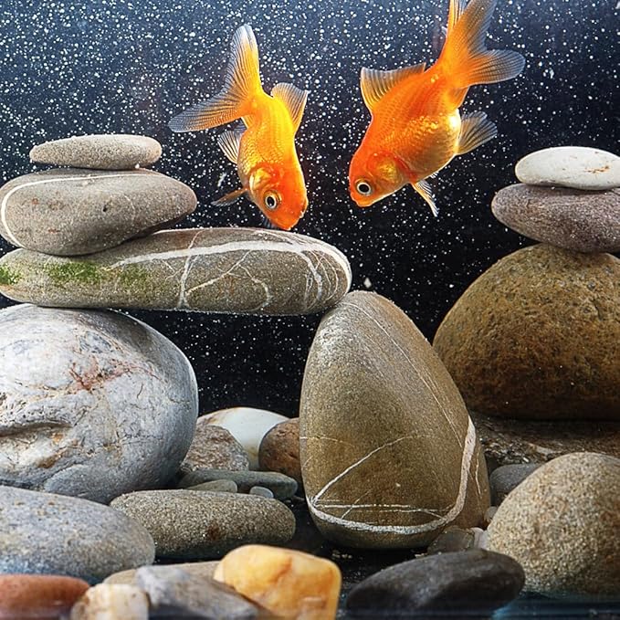 20lbs Natural River Rocks, 3"-4" Premium Pebbles for Garden and Landscape Design, Hand-Picked Smooth Stones for Fish Tank, Flower Pots, Indoor Water Fountains, Pathways, Backyard