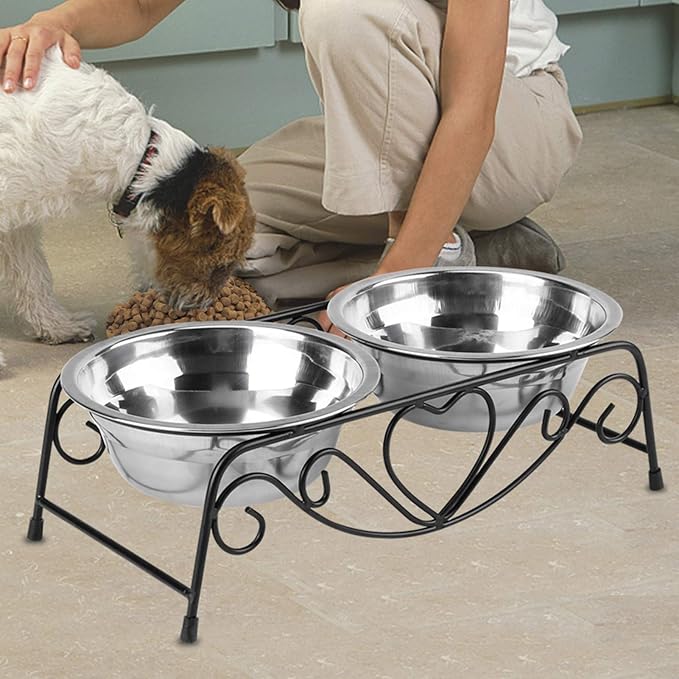Elevated Double Pet Bowl, Polished Stainless Steel Modern Cat Dog Double Puppy Pet Water Food Lower Raised Feeder Dish Bowls Stand US for Home, Great Gift