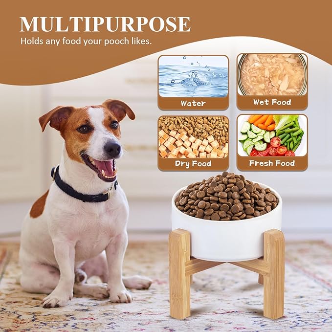 LIONWEI LIONWELI Ceramic Raised Dog Bowls, Medium - Set of 2 - Non Slip Wood Stand - Anti Vomiting - 850 ml - White