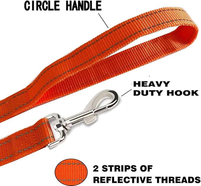 Reflective Dog Leash 7Ft /8 Feet Long, 1 Inch Wide, for Small and Medium Dogs