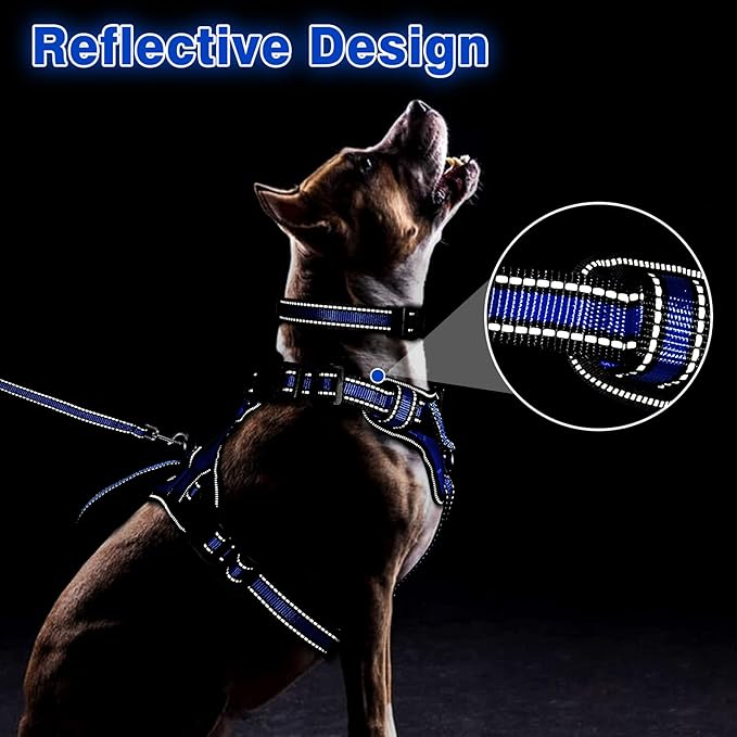 WINSEE All-in-One Reflective Dog Harness, Collar & Leash Set, No Pull with Adjustable Buckles, X-Large, Dark Blue