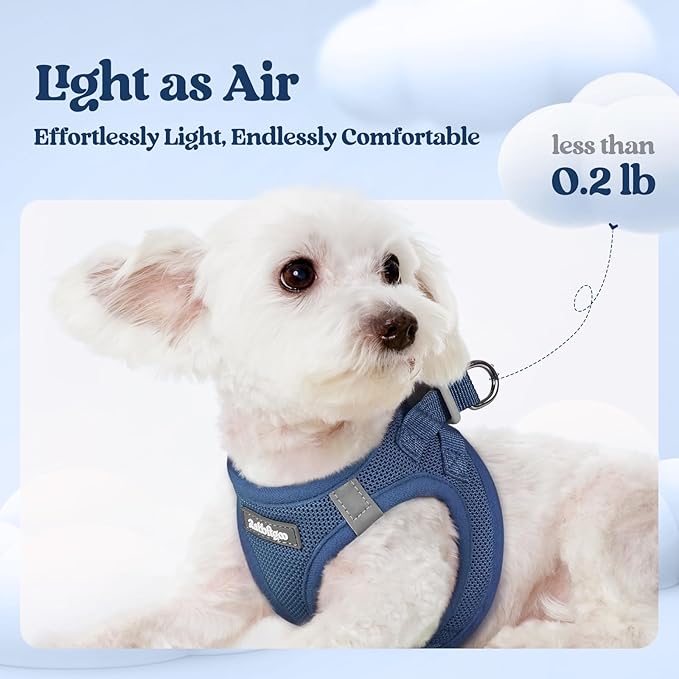 rabbitgoo Dog Harness Small Sized and Leash Set, Step in Soft Light Puppy Vest, Breathable Mesh Pet Harness, Reflective for Outdoor Safe Walking, Navy Blue XL