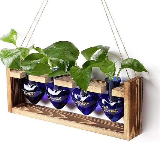 Plants Propagation Stations Plant Terrarium Kit for Bathroom Glass Planters for Indoor Plants Bathroom Decor Accessories - Relax Soak Unwind Breathe