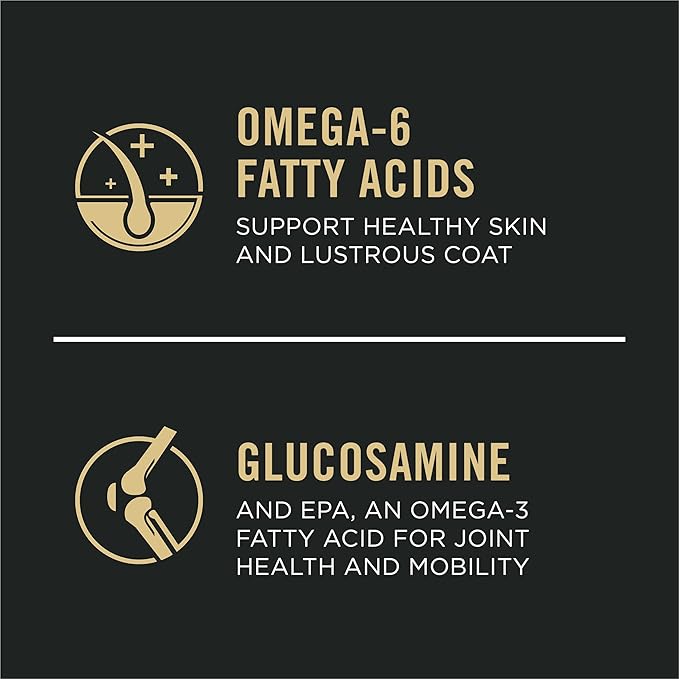 Purina Pro Plan Sensitive Skin and Stomach Dry Dog Food Senior Adult 7 Plus Salmon and Rice Formula - 16 lb. Bag