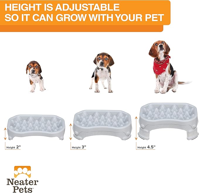 Neater Pet Brands – Neater Raised Slow Feeder Dog Bowl – Elevated and Adjustable Food Height - (2.5 Cup, Vanilla Bean)