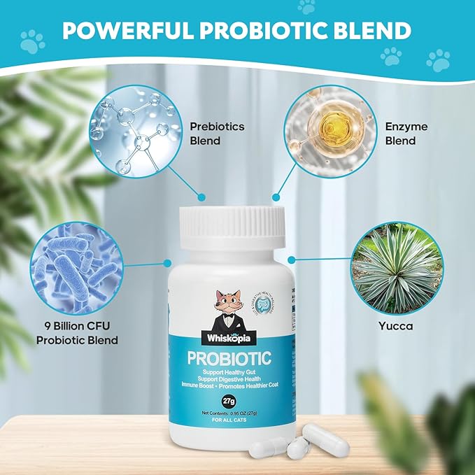 Probiotics for Cats - Cat Probiotic Supplement for Digestive & Gut Support, Diarrhea Relief, Immunity Booster, Cat Probiotic Powder with 9 Billion CFU and Prebiotics, 60 Capsules