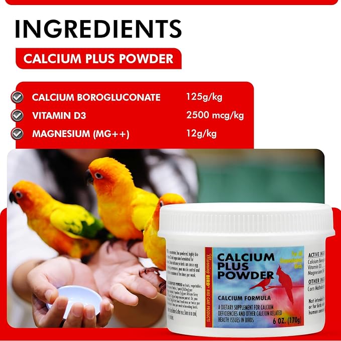 Morning Bird Calcium Plus Powder for Birds 6 oz – Calcium Supplement with Vitamin & Protein Powder – Supports Bone Health, Muscle Function & Digestive Balance – Easy-to-Mix Calcium Formula