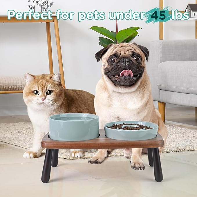 SPUNKYJUNKY Ceramic Elevated Dog Bowls with Slow Feeder Raised with Acacia Bamboo Wooden Stand, 6.1'' Dog and Cat Food Water Bowls Set Non-Slip for Small Medium Sized Breed - Light Green