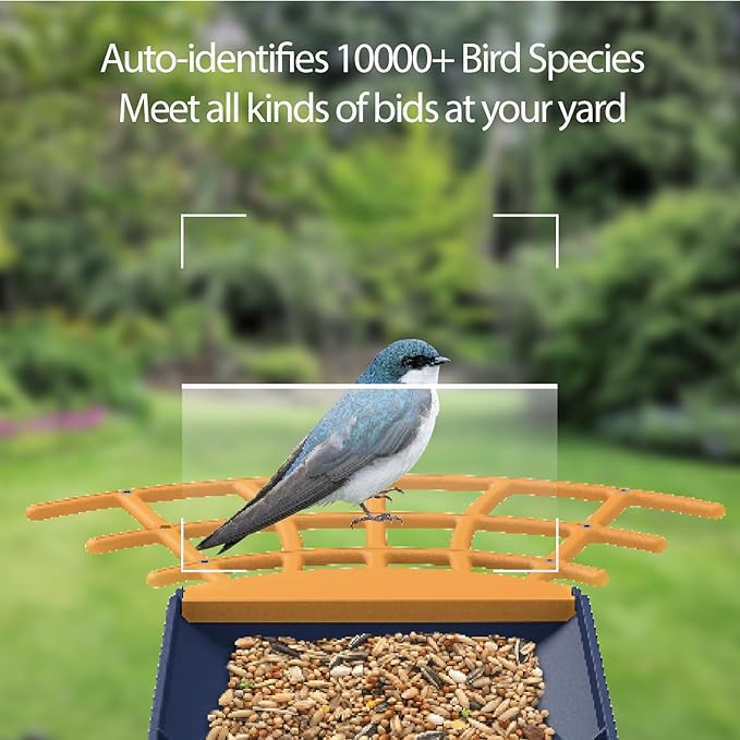Birdkiss Smart Bird Feeder with Camera, AI Identify Bird Feeder Camera with Solar Pannel, Auto Capture Bird Full HD Videos & Instant Notification, Ideal Present for Bird Lovers