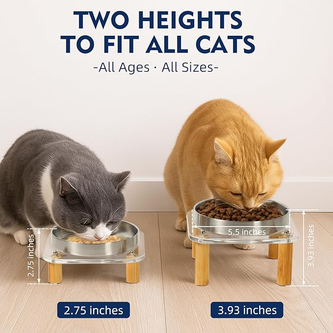 Elevated Cat Bowls for Indoor Cats – Raised Acrylic Cat Bowl Stand with 5.5 Inch Wide Stainless Steel Dishes, Pet Food Table Plate for Easy Feeding, Whisker Friendly(Silver,Set of 2)