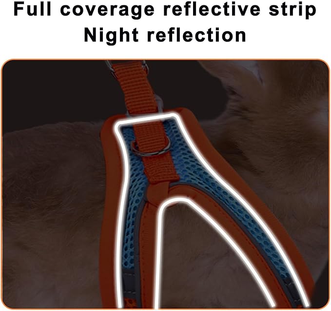 2 Pack Rabbit Harness and Leash Set, Double Buckle Bunny Harness with Reflective Strips Soft Breathable Mesh Vest Harness for Rabbits Walks Accessories