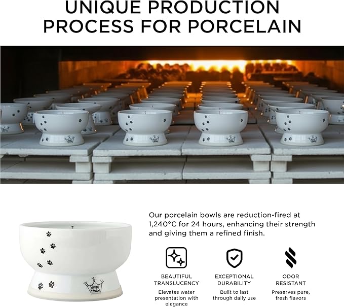 Necoichi Elevated Cat Water Bowl – Ceramic Raised Cat Bowl, Prevents Neck & Whisker Fatigue – Dishwasher & Microwave Safe – Pet Water Bowl for Cats (Cat, Regular)