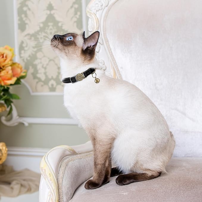 Leather Cat Collar Breakaway, Custom Cat Kitten Collar with Bells, Personalized Cat Collars with Name and Phone Number for Boy Girl Cats (Black, 6.3“-11.8“)