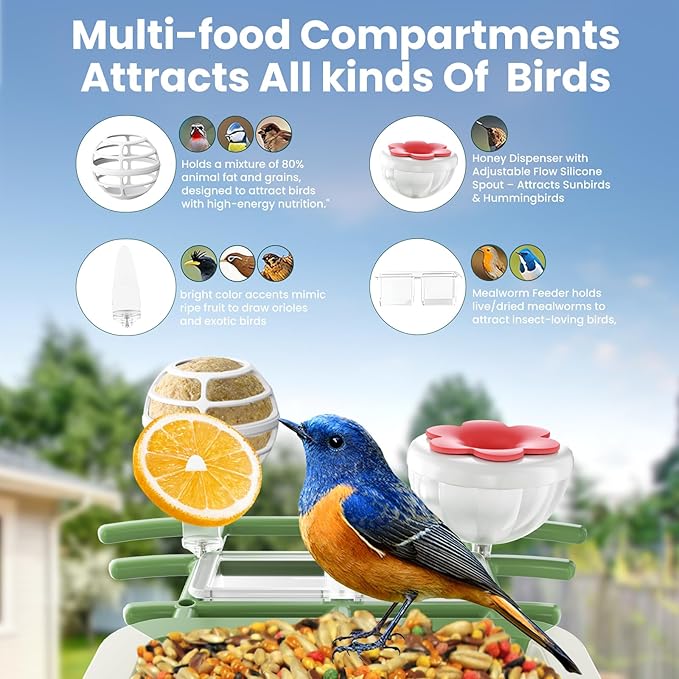 SOLIOM Smart Bird Feeder with Camera with Solar Panel - 2K HD Live View, AI Bird Identifier, Birds Arrival Alerts, DIY Birdseed Add-on, 2.4G WiFi- Wireless Outdoor Gift for Birdlovers