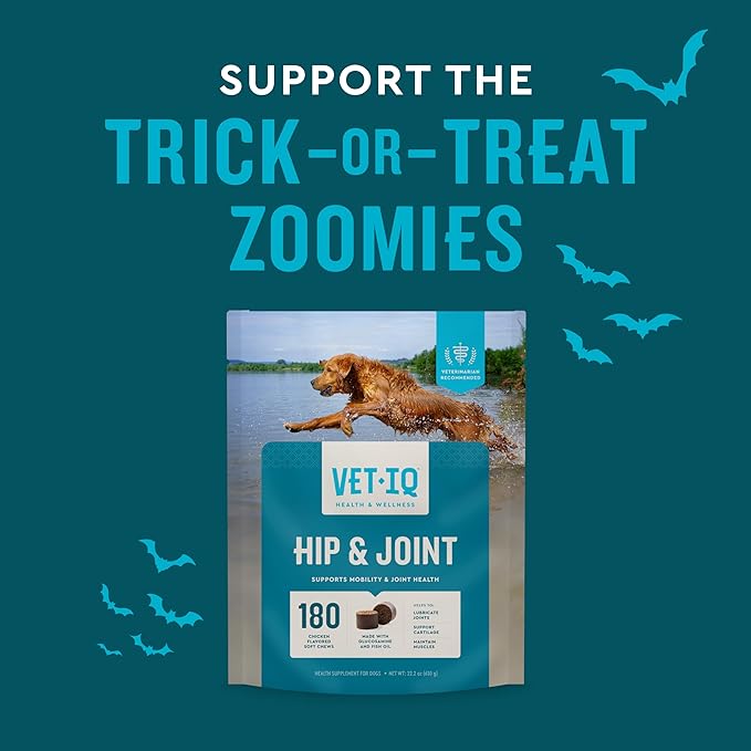 VetIQ Glucosamine Hip & Joint Supplement for Dogs, 180 Soft Chews, Joint Support Supplement with MSM and Krill, Dog Health Supplies Large & Small Breed, Chicken Flavored Chewables