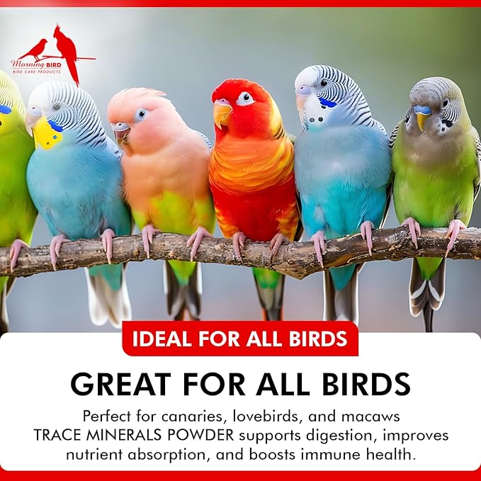 Morning Bird Trace Minerals Powder 1 Oz – Complete Mineral Supplement for Birds – Promotes Energy, Metabolism & Enzyme Activity – Easy to Mix for Daily Vitamin Support.