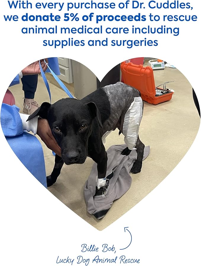 ReadyRESCUE - Dog First Aid Kit Essential - Activated Charcoal Detox for Dogs, Cats, Pets - Animal First Aid Kit - Dog Medical Emergency Kit - Dog Travel Essentials - 30g (3 Vials of 30g)