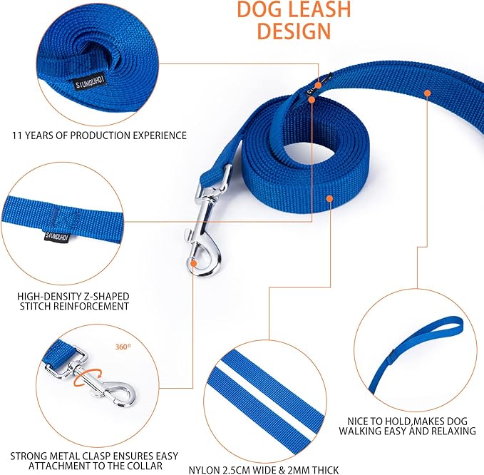 Strong Durable Nylon Dog Training Leash, 1 Inch Wide Traction Rope, 6 ft 10ft 15ft Long, for Small and Medium Dog (Blue, 6 Feet)