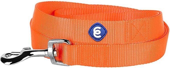 Blueberry Pet Essentials Florence Orange Dog Leash for Small -5' * 5/8" Dogs | Heavy Duty Nylon Lead | Lightweight Puppy & Cat Leash for Walking & Training