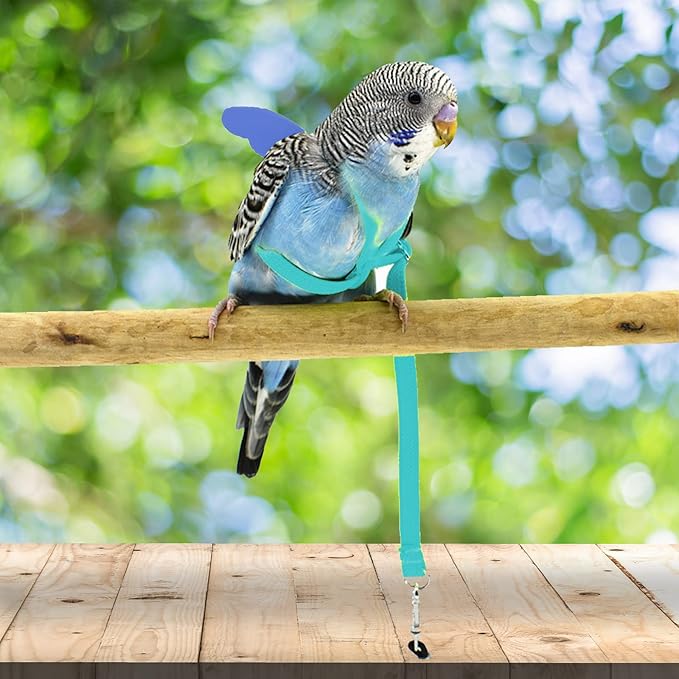 Dnoifne Pet Parrot Bird Harness and Leash, Adjustable Training Design Anti-Bite, Bird Nylon Rope with Cute Wing for Parrots, Suitable for Scarlet, Keck, Mini Macaw and Same Size Birds (Light Blue)