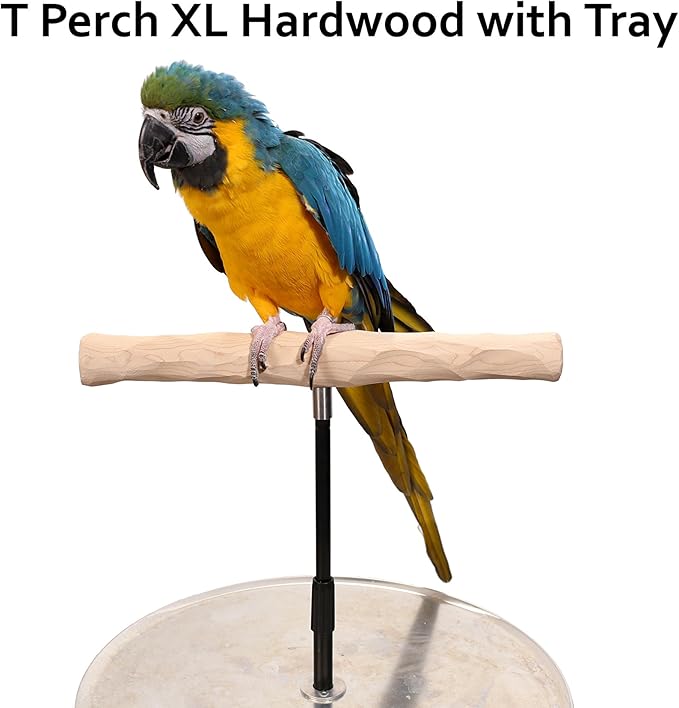 Parrot Training Perch Stand with Potty Tray (T Perch Hardwood, XL)