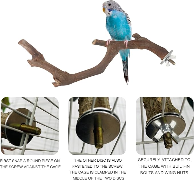 5PCS Bird Perch Stand Natural Wooden Parrot Stand Branch,3 Grape Wood Perch,2 Stand,Paw Grinding Fork Parakeet Chewing Stick Exercise Training Branches for Cockatiels,Small Medium Birds