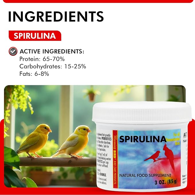 Morning Bird Spirulina, Supplement for Caged Birds, Organic Bird Food Supplement with Vitamins, Proteins, and Amino Acids for Parakeets, Cockatiels, Budgies, Finches, Canaries, and Parrots, 3 oz