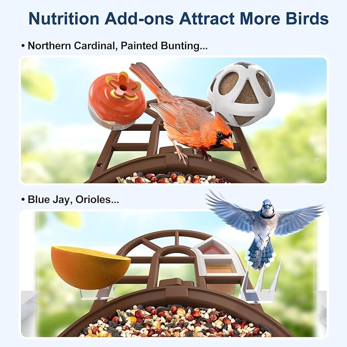 PeckCam® Bird Feeder with Camera with AI Identify 10000+ Birds Species, 3 Solar Panels, 2K Live View, Instant Arrival Alerts, Smart Bird House with Cam, Gift for Bird Lovers