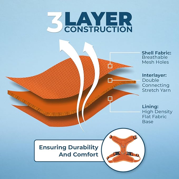 Voyager Step-in Lock Adjustable Cat Harness w. Cat Leash Combo Set with Neoprene Handle 5ft - Supports Small, Medium and Large Breed Cats by Best Pet Supplies - Orange, S