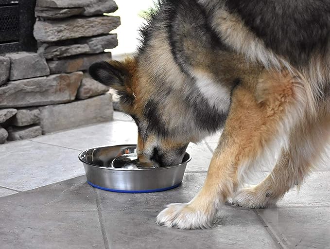 OurPet's DuraPet Slow Feed Premium Stainless Steel Dog Bowl, Silver (2040010301)