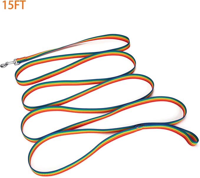 Strong Durable Nylon Dog Training Leash, 1 Inch Wide Traction Rope, 6 ft 10ft 15ft Long, for Small and Medium Dog (Rainbow, 15 Feet)