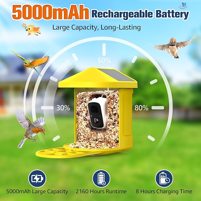 PeckCam® Bird Feeder with Camera with AI Identify 10000+ Birds Species, 3 Solar Panels, 2K Live View, Instant Arrival Alerts, Smart Bird House with Cam, Gift for Bird Lovers