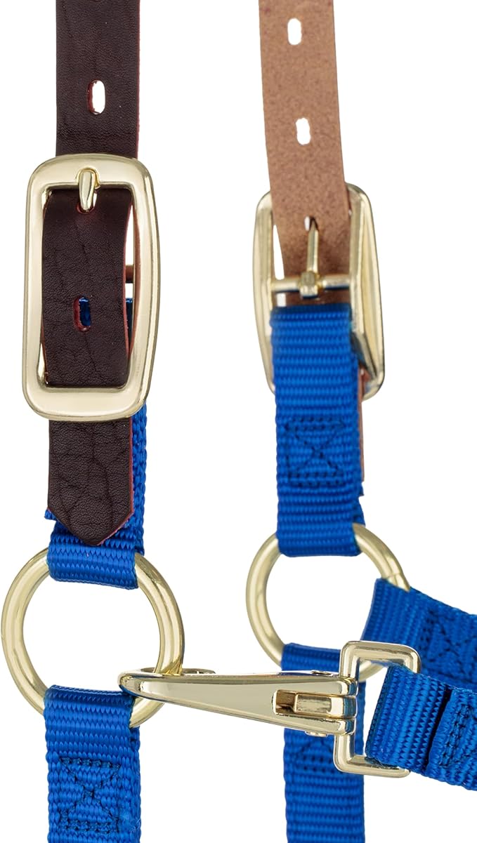 Weaver Equine Breakaway Horse Halter, Supple Leather Crown, Adjustable Chin & Throat Snap Halters for Horses, Equine Tack