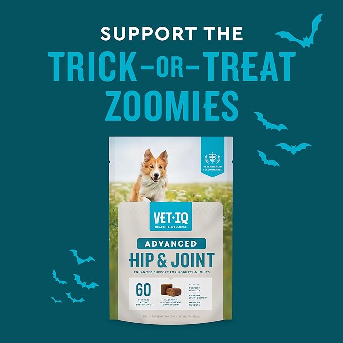 VetIQ Advanced Hip & Joint Chews For Dogs, 60 Count, Chicken Flavored Supplements Made with Glucosamine, Omega 3’s, Chondroitin, MSM & Green Lipped Mussel, Increases Mobility & Maintains Muscles