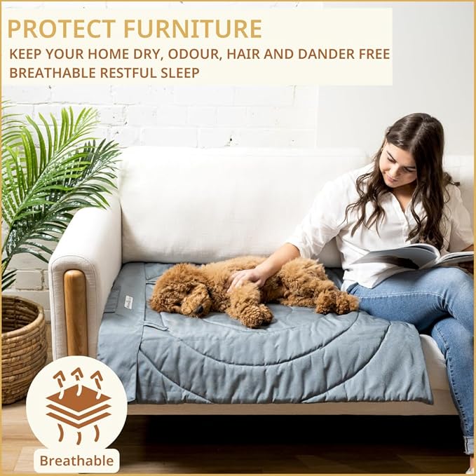 Portable Dog Mat - Waterproof & Foldable Pet Bed - Ideal for Indoor, Outdoor, Cafes, Travel, Camping, Grooming & Training - 39"x30" - Includes Carry Bag - Durable, Washable & Lightweight - Grey