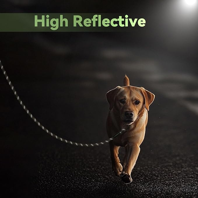 Nylon Dog Leash 6FT 10FT 20FT 30FT Diameter 2/5 Inch with Comfortable Silicone Handle Highly Reflective No Tangle for Medium Large Dogs Outside Walking Camping Backyard. (Green, 20FT)