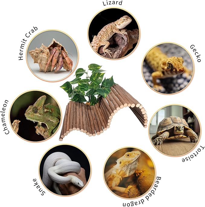 Reptile Hide Bearded Dragon Tank Accessories Large Climbing Wooden Bridge Hideout Tortoise Basking Platform Ramp Decor for Snake Lizard Ball Python Tortoise Leopard Gecko