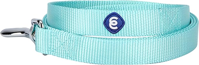 Blueberry Pet Essentials Mint Blue Dog Leash for X-Small -5' * 3/8" Dogs | Heavy Duty Nylon Lead | Lightweight Puppy & Cat Leash for Walking & Training