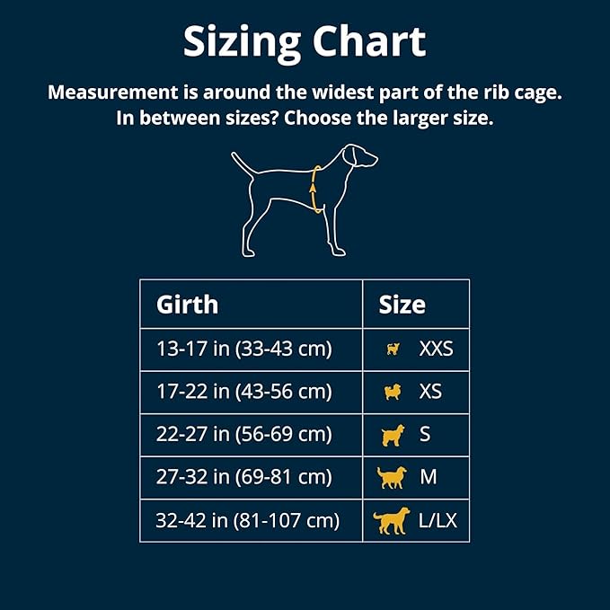 Ruffwear, Front Range Dog Harness, Reflective Soft Padded Everyday Harness with Dual Leash Clips, Adjustable and Lightweight Fit for Training or Walking for All Dogs, Blaze Orange, Small