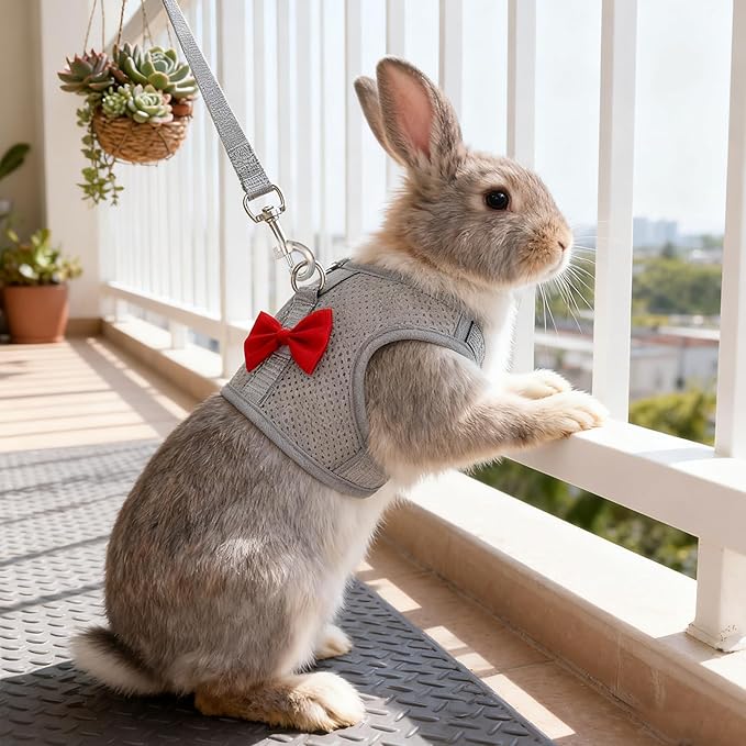 Rabbit Harness and Leash Set with a Cute Bow, Soft Mesh Vest-Style Carrier, Adjustable Rabbit Vest, Suitable for Rabbits, Kittens, Ferrets, Miniature Pigs, and Puppies, Gray Size M
