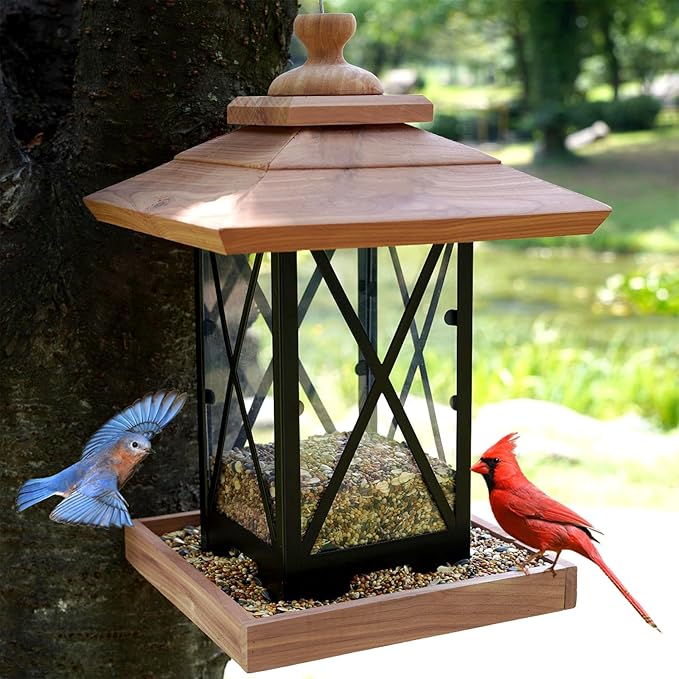 Cedar & Metal Frame Bird Feeder for Outdoors Hanging Mount Large Capacity, Black Wooden Garden Roof Feeder Lantern Style, Cardinal Bluebird Birdfeeder with Iron Frame Wall for Garden Decor Durable