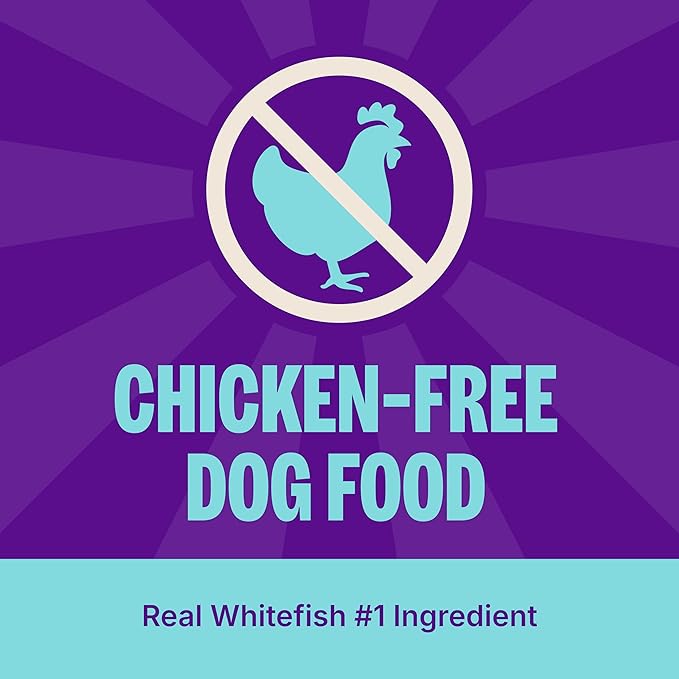 Wellness CORE Dry Dog Food, Grain-Free, High Protein, Natural, Ocean Whitefish, Herring, & Salmon Recipe, (26-Pound Bag)